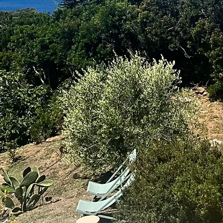 Residenza Rosso Di Sera Hébergement de vacances *